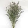 Ins Decoración al por Mayor Algodón Nomeolvides Natural Espigas de Trigo Ramo de Flores Secas Muebles para el Hogar Accesorios de Fotografía Frescos Pequeños