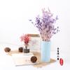 Flor Eterna Fruta dos Namorados Pequeno Espinho Aipo Preservação Flor Presente do Dia dos Namorados com Flor Decoração de Casa Flor