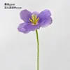Ramo de Tulipanes Artificiales sin Hojas de Estilo Francés de una Sola Cabeza para Bodas, Decoración de Sala de Estar y Mesa de Comedor al por Mayor