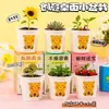 Plantas en Maceta de Caja Sorpresa como Premios para Estudiantes, Regalos para Estudiantes, Regalos de Plantas en Maceta de Caja Sorpresa, Plantas Pequeñas en Maceta de Caja Sorpresa