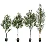 Árbol de Olivo Simulado Personalizado en Maceta Adornos de Decoración para el Hogar Interior Árbol Artificial Falso Bonsái Planta Verde Simulado Árbol de Olivo