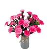 Flores de Clavel de Tallo de Hierba Acuática Multicabezal en Stock al por Mayor para Mesa de Sala de Estar Decoración del Hogar Flores de Seda de Tallo Único Arreglo Floral Artificial
