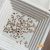 Mini resina acrílica de tamaño súper pequeño, de fondo plano, con forma especial, para decoración de uñas, diamantes, joyas, manicura popular en Internet, accesorios de diamantes mixtos