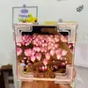 Kit de Artesanato DIY Cubo Mágico Tulipa Luminária de Noite Mar de Flores Rosa - Um presente atencioso para sua namorada ou melhor amiga, fornecido pela fábrica