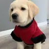 Capa Roupa de animal de estimação Transfronteiriça Super-herói Cachorro Moletom para animal de estimação Pelúcia Bordada Roupas para cachorro