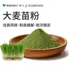 Pó de broto de cevada, suco verde, pó solúvel em água de frutas e vegetais, matérias-primas para bebida instantânea substituta de refeição, fornecimento em massa de fábrica