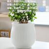 Al por mayor una generación de maceta de cerámica para el hogar grande simple nórdica balcón interior sala de estar plantas en maceta diámetro grande
