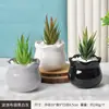 Vaso de Flores Cerâmica Creme Doméstico Estilo Ins Luxo Leve Preto e Branco Vaso de Flores Suculentas Simples Jardinagem Planta Verde Orquídea Phalaenopsis em Vaso