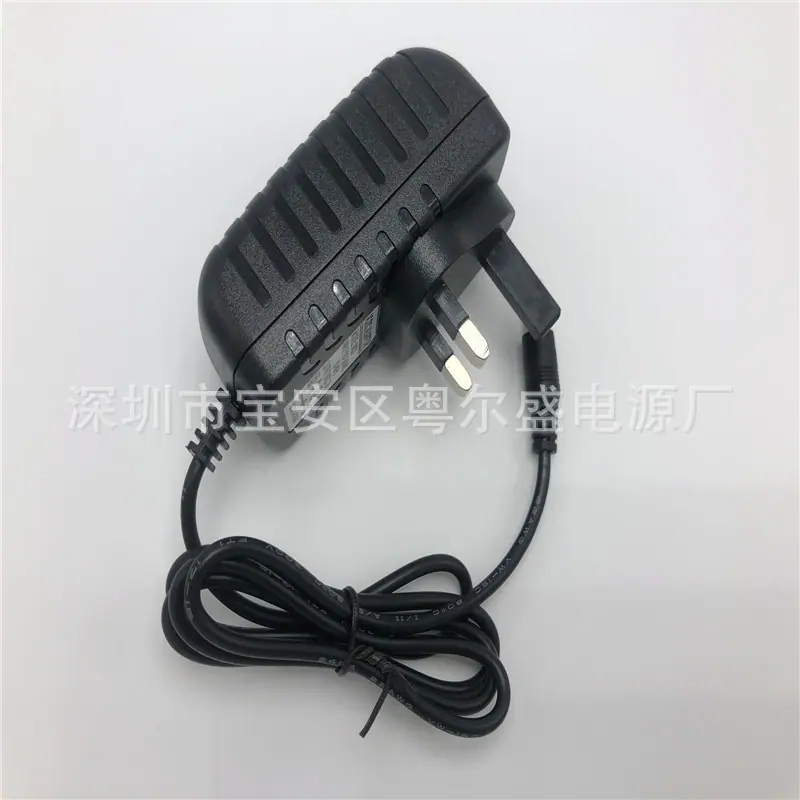 12V3A英规