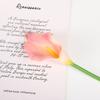 Lírio de Cala Mini de PU Simulado Decoração de Casamento para Casa Flor de Toque Flor Falsa Adereços de Fotografia Ornamentos de Flores Falsas Atacado
