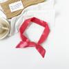 Monocromático Nuevo Listón Puntiagudo Bufanda Larga Puntiaguda de Seda Imitación Sade para Mujer Pequeño Cinturón Flotante Cinta para el Cabello