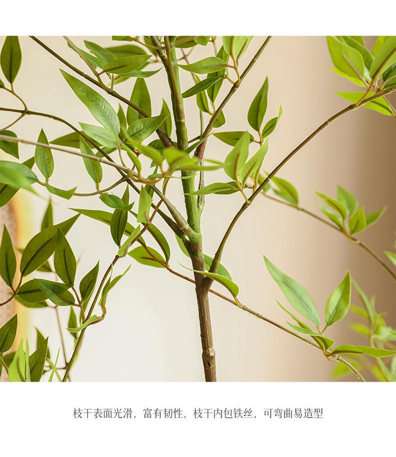 南天竹-漆木_15.jpg