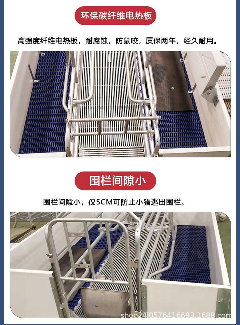 欧式母猪产床-详情_04.jpg