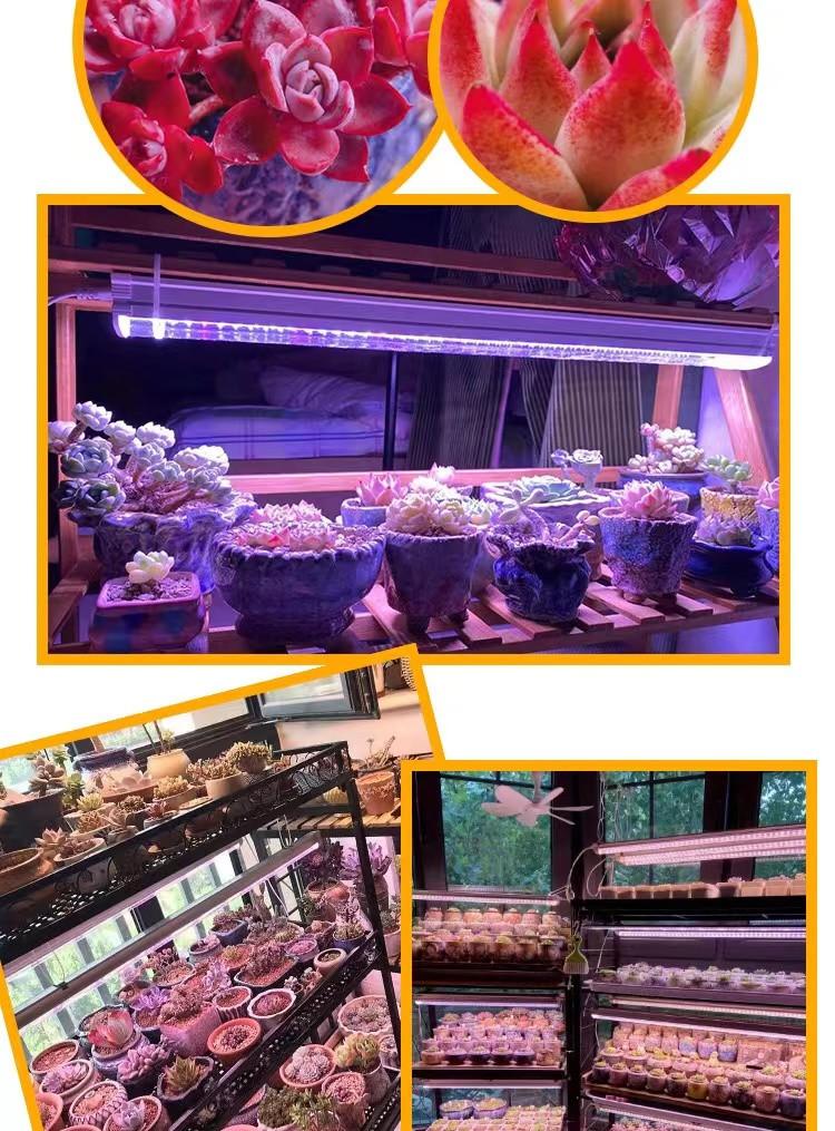 2e27c17443946f657465da8ad9c65f