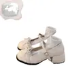 Zapatos de tacón alto de encaje con lazo estilo francés populares para mujer, nuevos zapatos de tacón grueso para otoño 2026 para combinar con faldas, zapatos Mary Jane