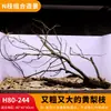 Árbol para paisajismo de acuario sudamericano, ramas secas, ramas de peral amarillo, decoración de sustrato, pecera pequeña, ramas naturales, decoración de paisajismo y paisajismo.