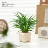 Clorofito em vaso com bordas douradas para salas de estar e escritórios internos, uma planta verde de mesa com longos ramos pendentes, sempreverde e fácil de manter
