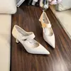 Colección Otoño 2026: Zapatos de Mujer de Piel Suave con Tacón Grueso, Zapatos de Tacón Alto Versátiles de Punta Fina, Elegantes Mocasines de Punta Baja