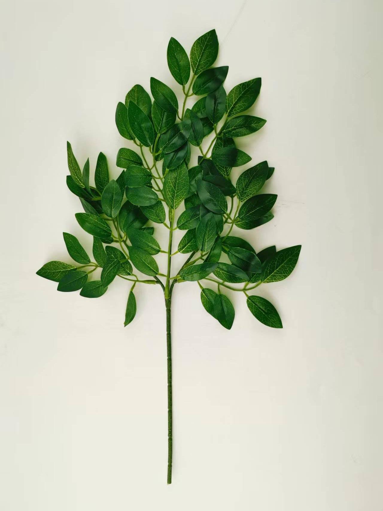豆花叶 (11).jpg