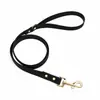 Set de Collar y Correa para Gato y Perro de Color Sólido de PVC, Set de Dos Piezas Impermeable y Resistente a la Suciedad para Mascotas, Personalizable desde la Fábrica de Origen