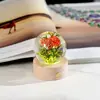 Suministro Transfronterizo Bola de Cristal de Resina Incrustada Luz Nocturna Flor Eterna Base de Madera Maciza Tallada en 3D Luminosa Regalo de Cristal