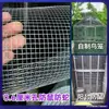 Malla de alambre de acero galvanizado en caliente a prueba de ratas y serpientes protección de balcón paloma pájaro conejo malla de jaula malla para cría exterior de pollo pato malla de alambre de hierro a prueba de óxido