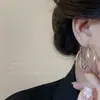 Pendientes de Aro Estilo Dulce y Fresco Chica Picante 2025 Nuevos Pendientes Redondos Simples Personalidad Accesorios de Aro de Celebridad de Internet