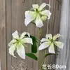 Flores de Casamento Brancas Simulação Flores de Casamento Arranjo de Cena Flores Artificiais Paisagismo Flores de Fileira no Chão Decoração Suave Arte Floral Arranjo de Flores Rosas