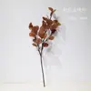 Nuevo Estilo Mori Estudio Fotografía de Bodas Accesorios para Fotos Plantas Verdes Hojas al Aire Libre Fotografía de Viajes Creativa Decoración de Personalidad