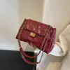 2025 Bolso de Cadena de Moda para Mujer Textura de Alta Calidad Patrón de Diamantes Bolso de Hombro a la Moda para Viajes Diarios Bolso Cruzado de Hombro Único Nuevo