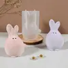 Vela Perfumada de Conejito Lindo de Pascua Molde de Silicona Resina DIY Conejo con Cortes Geométricos Adorno de Yeso