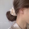 Pendientes de plata de ley, nuevos pendientes de moda con circonitas Super Flash, pendientes de fila para mujer de Corea del Sur, elegantes, de estilo sencillo y frío para celebridades de Internet.