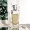 Fabricantes suministran botella de perfume 75ml Botella de Vidrio botella de perfume con tapa botella de spray para perfume fondo grueso