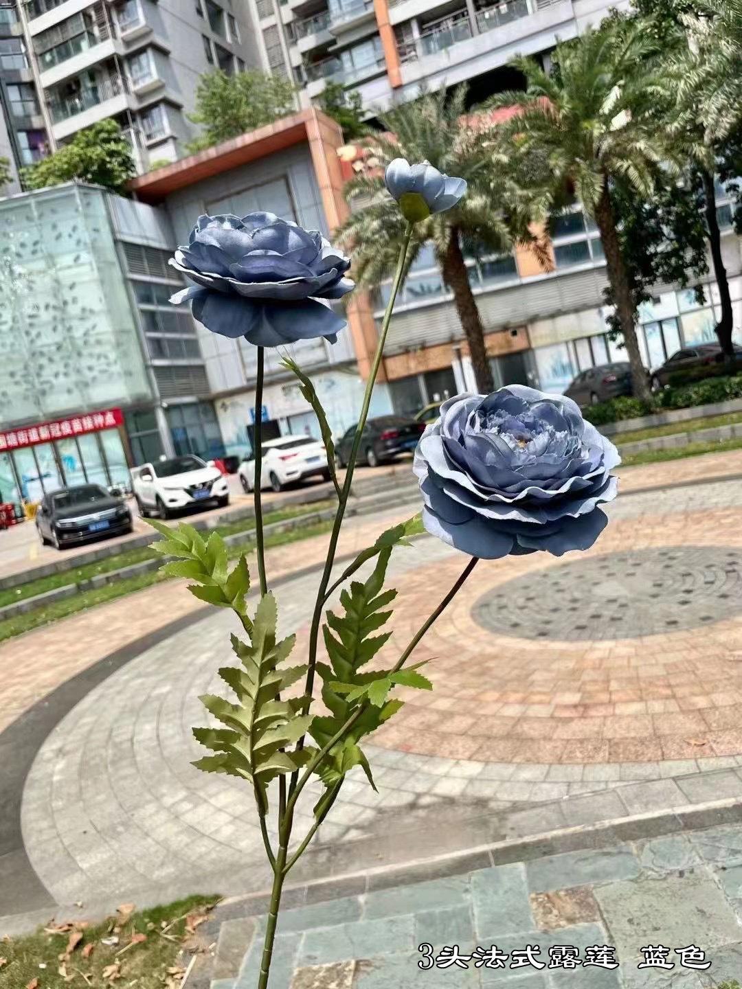 微信图片_20211024113651.jpg