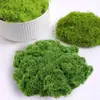 Césped Musgo Artificial Paisajismo Biónico Micro-paisaje Arreglo Adornos Césped Bonsái Planta en Maceta Pavimentación Decoración Colocación