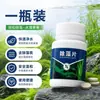 Pastillas Eliminadoras de Algas para Acuario Eliminador de Musgo Purificador de Agua Eliminador de Algas Verdes Algas Marrones Algas de Agua Verde Para Plantas Acuáticas Sin Daño a los Peces Eliminador de Algas