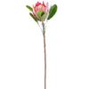 Flor Artificial Tienda en Casa Decoración Accesorios para Ropa Fotografía de Bodas Terciopelo Medio y Alto Grado Flor Artificial Flor Imperial Sudafricana