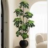 Planta de Simulación Madera Pie de Pato de Pie en Maceta Planta Verde Biónica Adornos Sala de Estar Lado del Sofá Decoración del Hogar Bonsái Árbol Falso