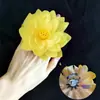 Danza Clásica: Entrando al Estanque de Lotos, Recogiendo Hojas de Loto, Flores de Loto, Frutos de Loto, Sosteniendo Accesorios, Anillos, Bandas Elásticas, Flores para Dedos y Muñecas