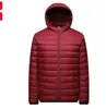 Chaqueta Ligera de Algodón con Relleno de Algodón Corta para Hombre 2023 Otoño e Invierno Nueva Moda Coreana Cuello Elegante Juventud Chaqueta Ultradelgada