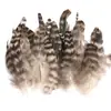 80 Tipos de Penas Naturais de Faisão, Penas Reais, Decorações Nativas Americanas, Acessórios DIY, Acessórios de Cabelo, Peças para Brinquedo de Vara para Gato