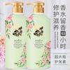 Perfume shampoo óleo controle fofo anti-caspa anti-coceira homens fragrância de longa duração 72 horas feminino produtos genuínos terno ouxinlan