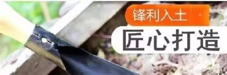 详情图12.jpg