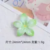 Lirio Gradiente Caricatura Hecho a Mano DIY Pegamento de Crema Resina Accesorios Pequeños Accesorios para Joyería Hebilla de Zapato con Agujero Material