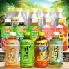 2024 bebida de jugo de té negro helado té verde miel 24 cartones pomelo jazmín caja completa fruta fresca naranja miel especialidad