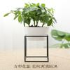 Maceta de Rábano Verde Maceta de Cerámica Creativa Maceta Grande para Plantas Hidropónicas Ins Maceta Colgante de Pared de Escritorio de Hierro Simple
