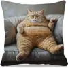 Funda de Almohada con Forma de Gato Más Vendida Transfronteriza, Linda Funda de Cojín Decorativa para Dormitorio de Gato, Hogar, Sofá