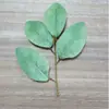 Hoja Simulada de Cuatro Puntas Estampada en Seda Hoja de Magnolia Rama de Hoja de Eucalipto Accesorios Decorativos Fabricante Venta al por Mayor en Stock