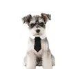 Conjunto Premium de Gravata e Óculos de Cavalheiro para Pets, Acessórios para Cães Pequenos e Gatos, Adereços Fofos para Fotos de Pets para Fotos Engraçadas