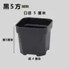 Vaso para Suculentas Espesso Pequeno Quadrado Preto Quadrado Branco de Resina Vaso de Flores Fabricante de Comércio Exterior Atacado Matéria-Prima Plástica Respirável